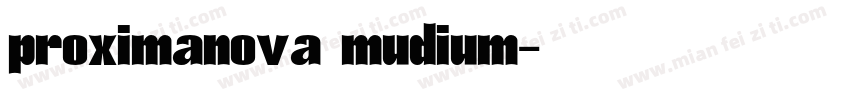 proximanova mudium字体转换